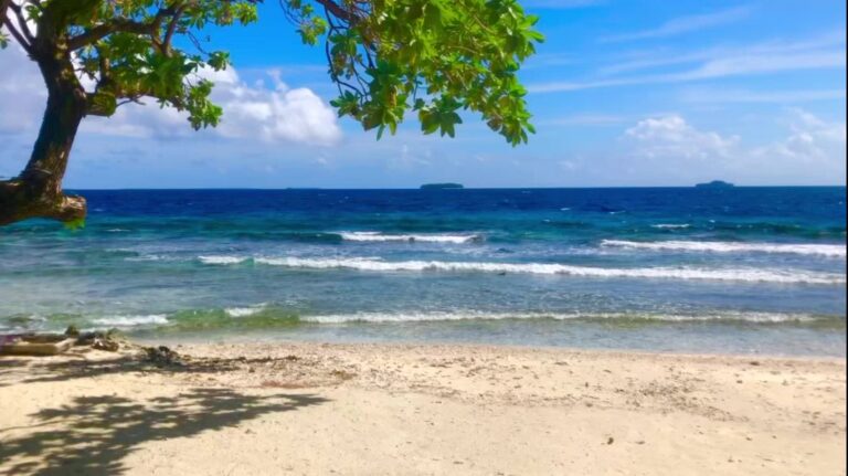 ミクロネシアとは ミクロネシア通信 ミクロネシア振興協会